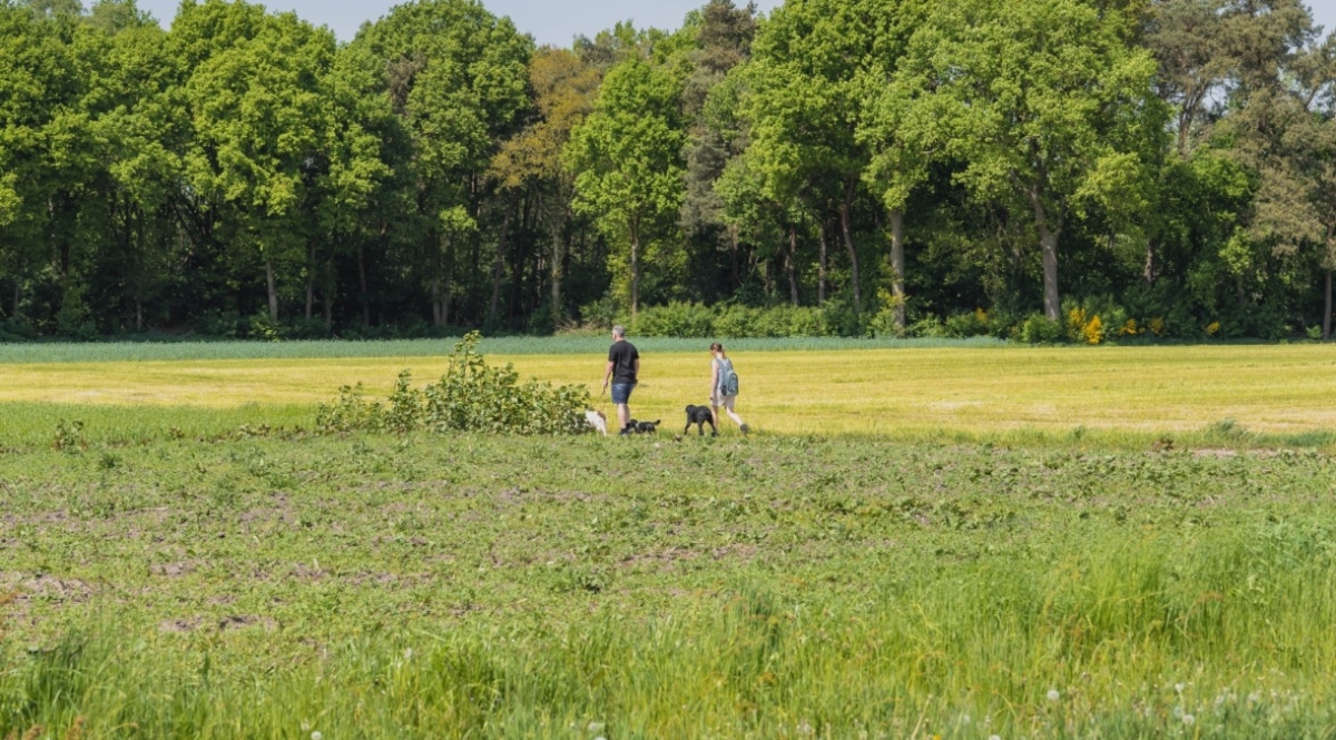 Wandelen en fietsen in de omgeving