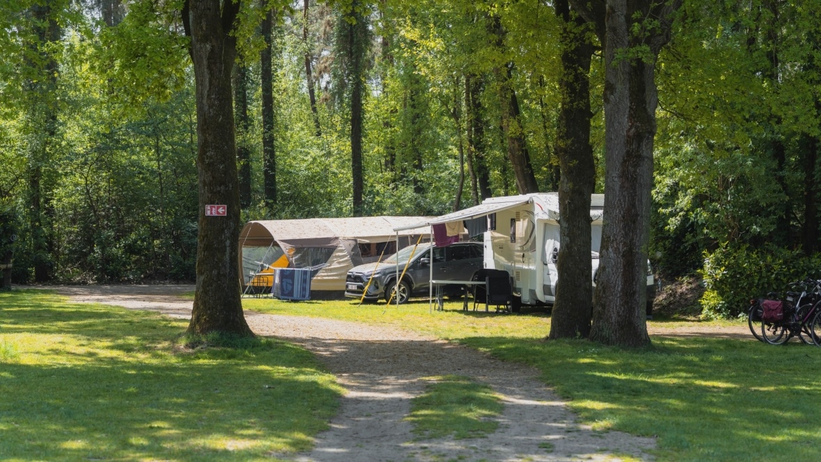 Overnachten in de bossen