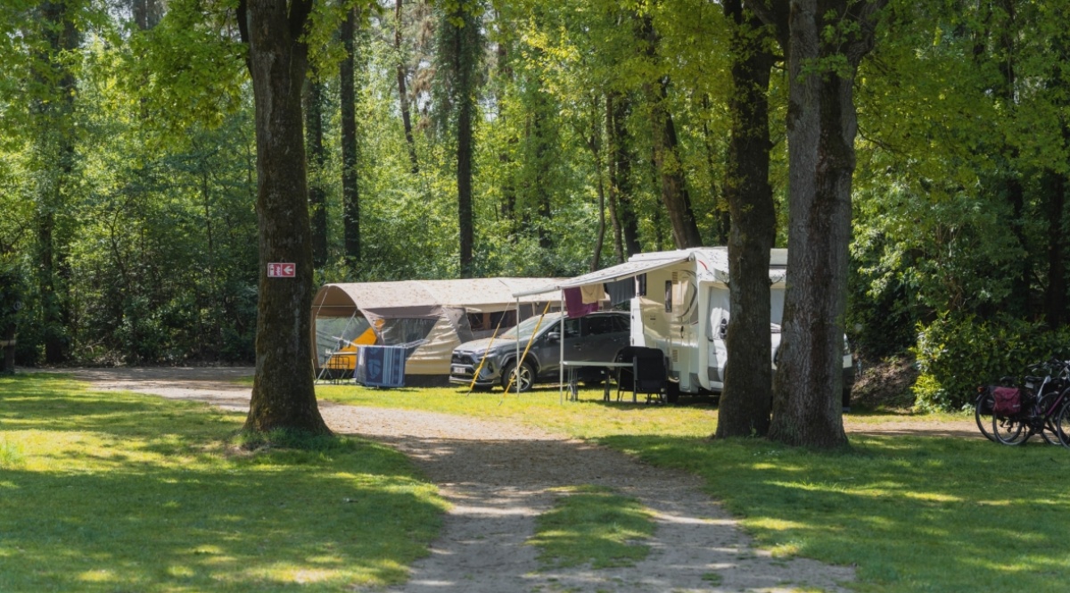 Overnachten in de bossen